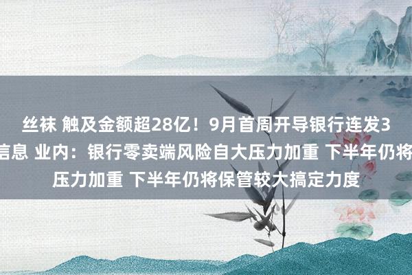 丝袜 触及金额超28亿！9月首周开导银行连发35条不良贷款转让信息 业内：银行零卖端风险自大压力加重 下半年仍将保管较大搞定力度