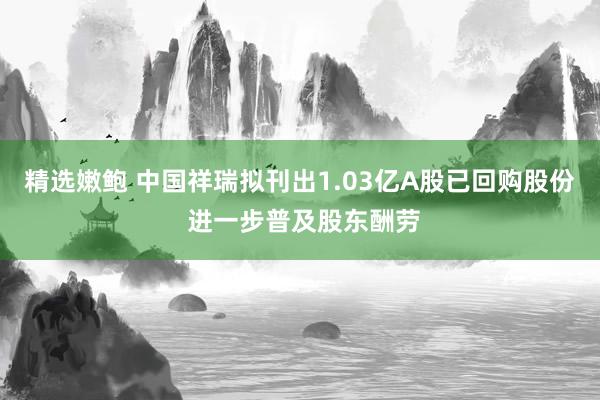 精选嫩鲍 中国祥瑞拟刊出1.03亿A股已回购股份 进一步普及股东酬劳
