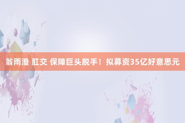 翁雨澄 肛交 保障巨头脱手！拟募资35亿好意思元