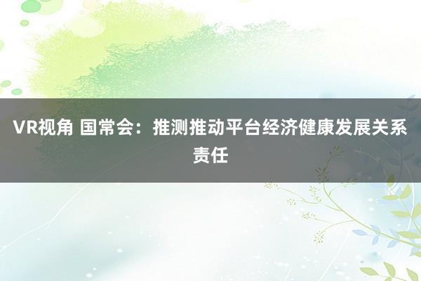 VR视角 国常会：推测推动平台经济健康发展关系责任