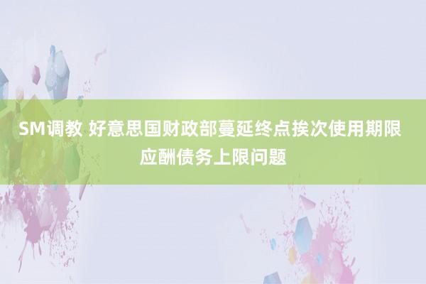 SM调教 好意思国财政部蔓延终点挨次使用期限 应酬债务上限问题