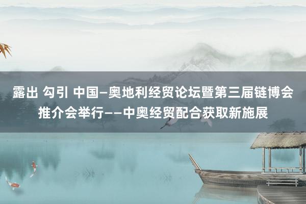 露出 勾引 中国—奥地利经贸论坛暨第三届链博会推介会举行——中奥经贸配合获取新施展
