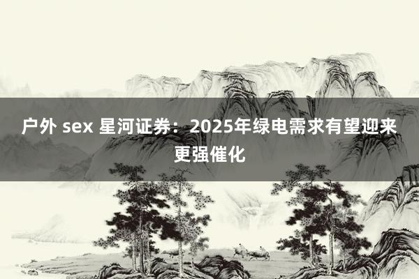 户外 sex 星河证券：2025年绿电需求有望迎来更强催化