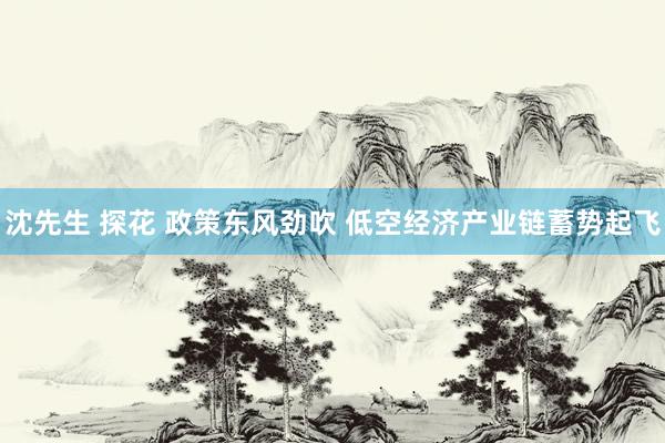 沈先生 探花 政策东风劲吹 低空经济产业链蓄势起飞