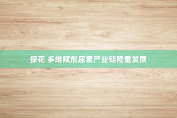 探花 多维赋能尿素产业链隆重发展